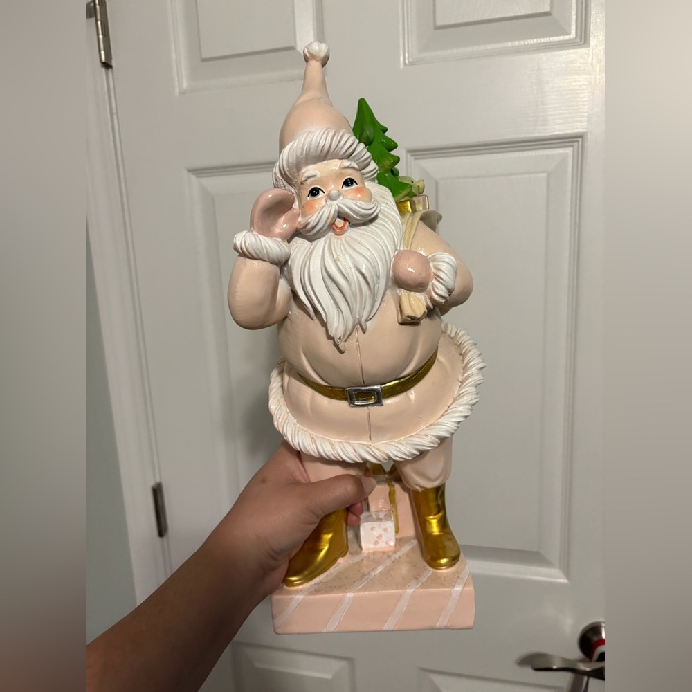 Viral pink santa
